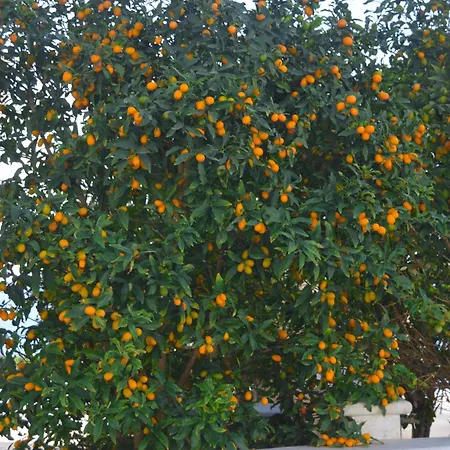 Olymp Luxury D - Luxury Escape With Direct Access And Unique Sunsets *