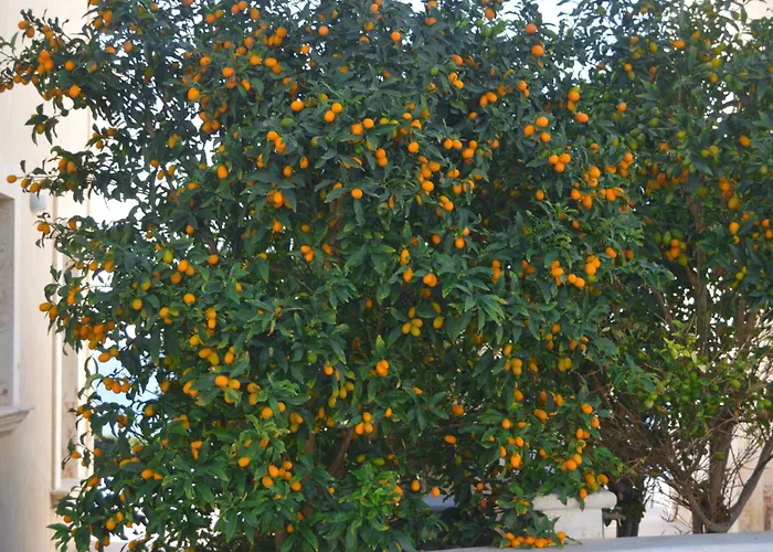 Olymp Luxury D - Luxury Escape With Direct Access And Unique Sunsets *